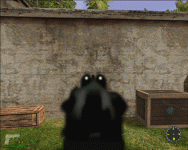 Pistol sights