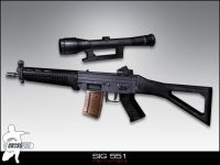 Sig 551
