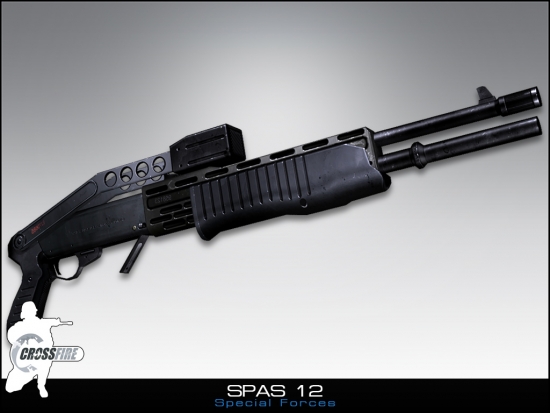 Franchi Spas 12