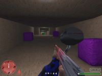 Angel In-game
