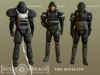 The Senallin
