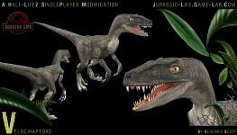 Velociraptor.