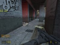 Shotgun in-game