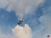 F22 ingame