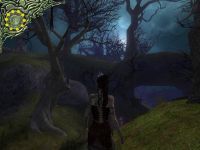 Black Moor