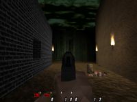 Socom Sights