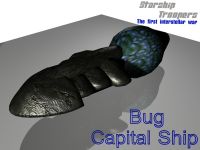 Bug Cruiser