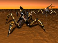 Arachnids
