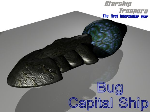 Bug Cruiser