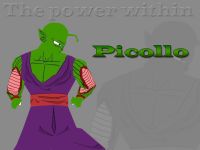 Picollo skinned