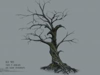 Old Tree