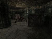 Spiders and shadows