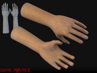 First Person Hands