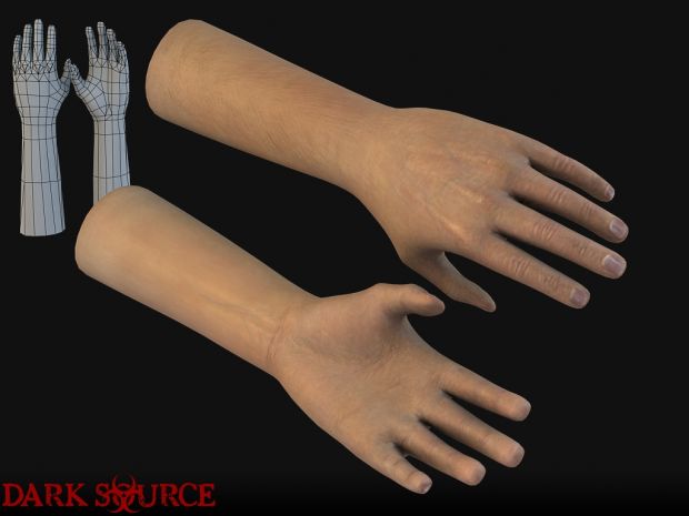 First Person Hands