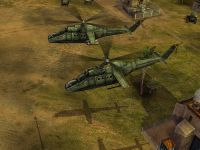hind