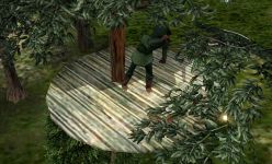 Lookout
