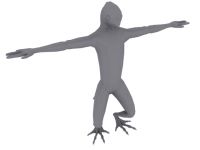 Unskinned Player Model