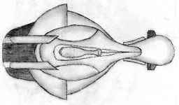 Covenant Flagship Top - Sketch