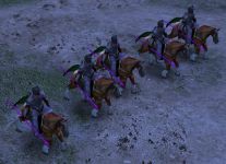 Rohan Royal Guard