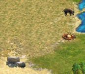 New Resources