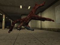 Niobe shootdodging