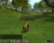Grassfields