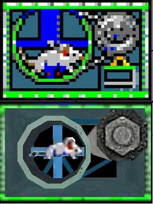 Mouse Cage Comparison