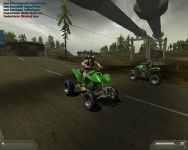 quads