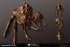 Pit Drone
