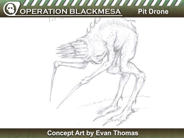 Pit Drone Concept
