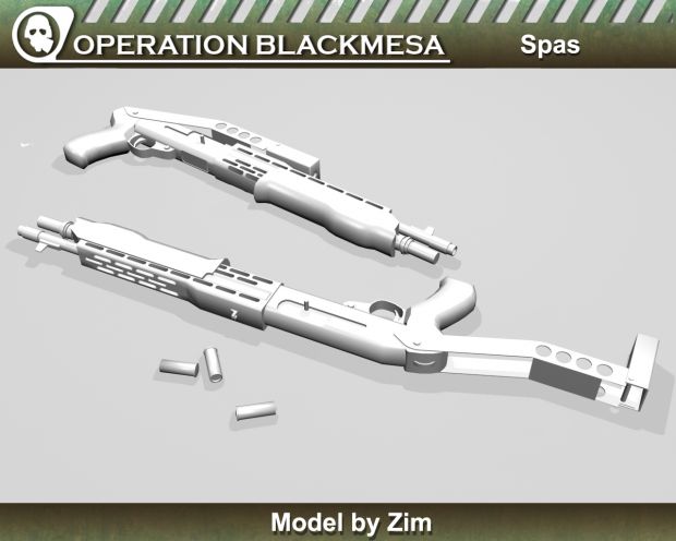 Spas Model