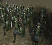 Emerald guards