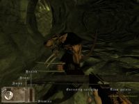 In game HUD