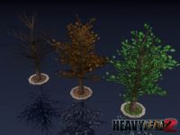 Trees