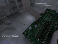 Computer Bugs?
