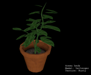 Green Herb