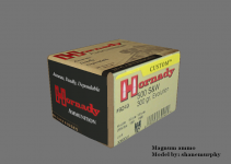 Magnum ammo