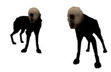 Blackdog