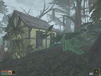 Jungle