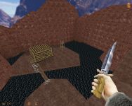 Ingame action