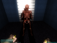 Red Skelleton Boss