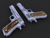 Muldoon's M1911 Colt .45