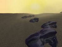 Advance of the Beetles