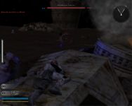 Picture 42