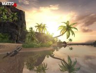 Sunny Paradise