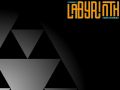 The Labyrinth of Time