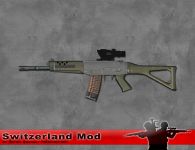 SWM Weapons