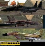 Planes skin (Hoofer)