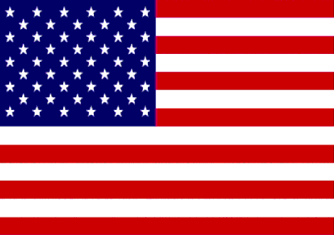 http://media.moddb.com/images/articles/1/110/109299/auto/american-flag.gif