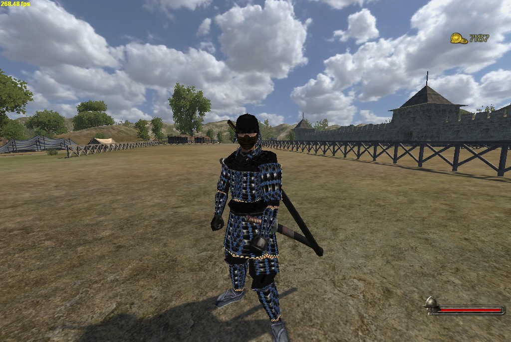  Mount And Blade With Fire And Sword  -  9